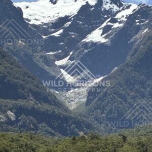 Mountain Slopes and Snow-Capped Peaks Above Forested Valley. Milford Sound, New Zealand.