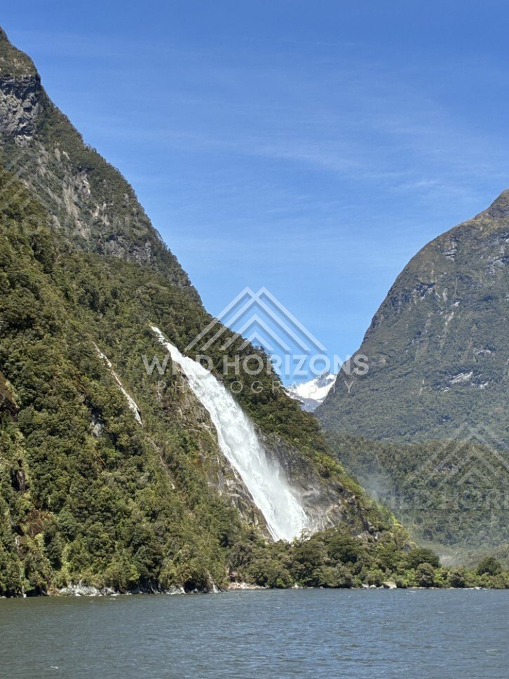 Tall Waterfall Dropping Through Dense Green Forest on Steep Slope. Milford Sound, New Zealand.