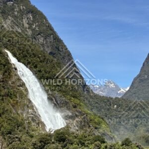 Narrow Vertical Waterfall Cutting Down a Steep Forested Mountainside. Milford Sound, New Zealand.