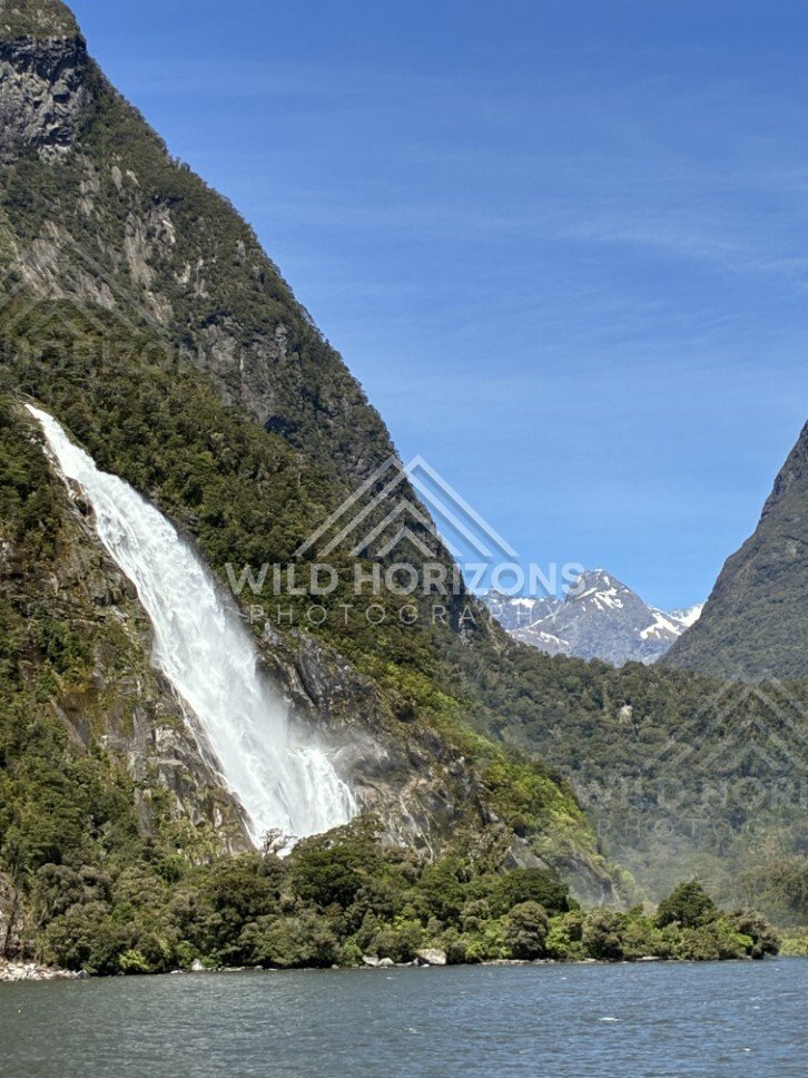 Narrow Vertical Waterfall Cutting Down a Steep Forested Mountainside. Milford Sound, New Zealand.