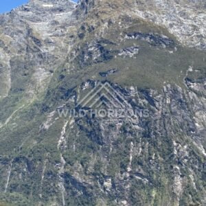 Rocky Mountain Face Above Dense Bushland in Clear Light. Milford Sound, New Zealand.