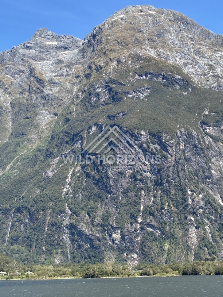 Rocky Mountain Face Above Dense Bushland in Clear Light. Milford Sound, New Zealand.