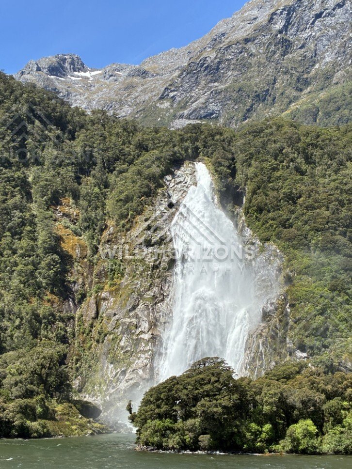 Powerful Waterfall Pouring Down a Steep Green Cliff Face. Milford Sound, New Zealand.