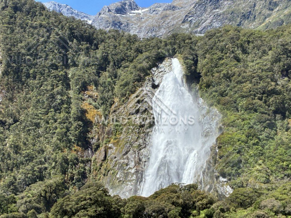 Tall Waterfall Framed by Dense Forest on a Sheer Mountainside. Milford Sound, New Zealand.