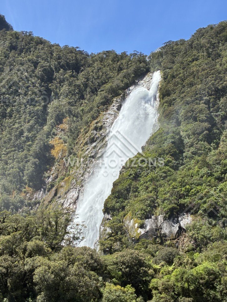 Continuous Waterfall Flowing Down a Lush Vegetated Mountainside. Milford Sound, New Zealand.