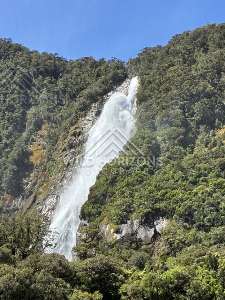 Multiple Cascading Streams Forming a Waterfall on Steep Green Slope. Milford Sound, New Zealand.