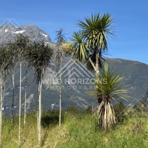 Roadside Scenic View with Water, Trees, and Mountains Beyond. Milford Road, New Zealand.