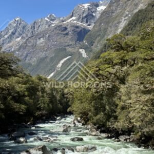 Mountain Reflections Across Calm Water with Forested Shoreline. Milford Road, New Zealand.