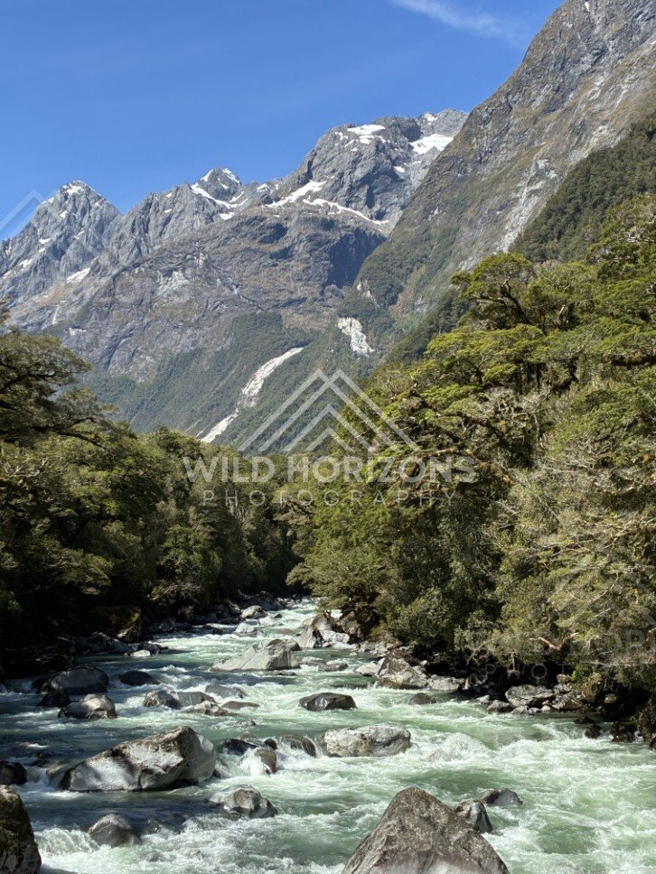 Mountain Reflections Across Calm Water with Forested Shoreline. Milford Road, New Zealand.