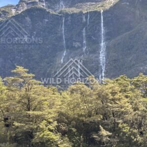 Steep Vegetated Cliff Face Rising Above Forested Valley. Milford Road, New Zealand.