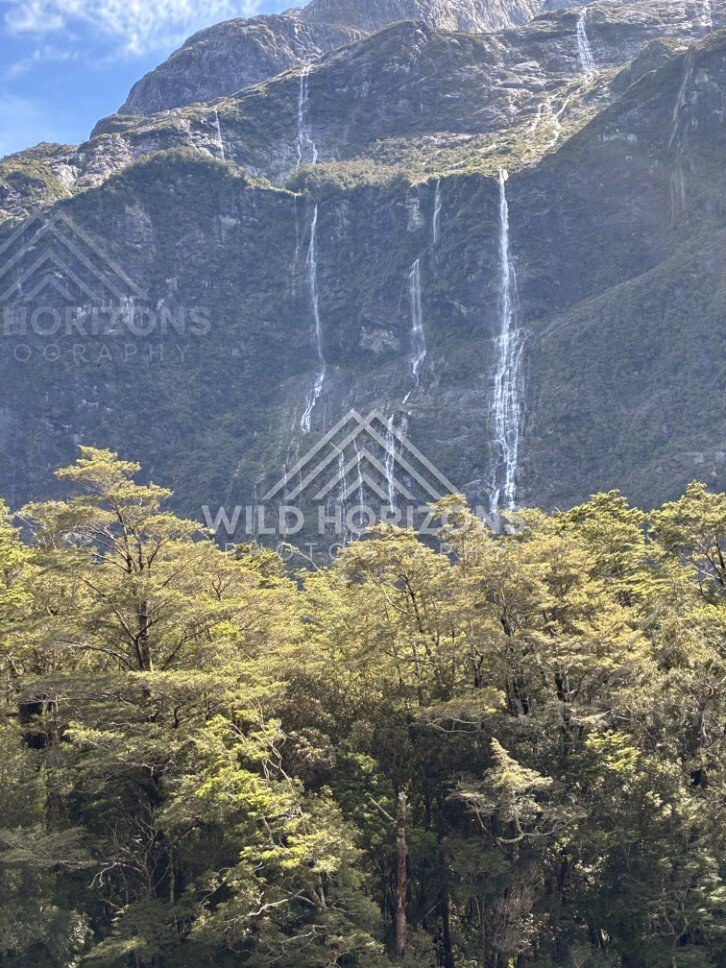 Steep Vegetated Cliff Face Rising Above Forested Valley. Milford Road, New Zealand.
