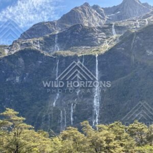 Towering Rock Wall and Dense Bush Under Clear Skies. Milford Road, New Zealand.