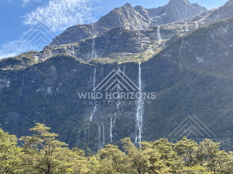 Towering Rock Wall and Dense Bush Under Clear Skies. Milford Road, New Zealand.