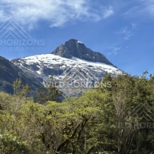 Sheer Cliff Face Above Forested Slopes in Bright Daylight. Milford Road, New Zealand.