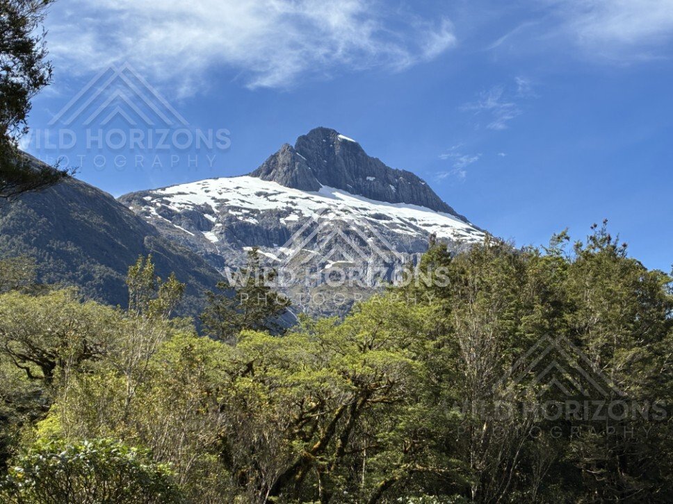 Sheer Cliff Face Above Forested Slopes in Bright Daylight. Milford Road, New Zealand.