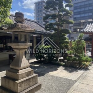 Stone Lanterns Lining a Pathway to a Temple Courtyard. Osaka, Japan.