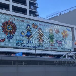 Colourful Mural Covering the Side of an Osaka Building. Osaka, Japan.
