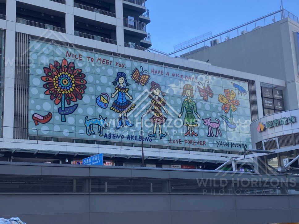 Colourful Mural Covering the Side of an Osaka Building. Osaka, Japan.