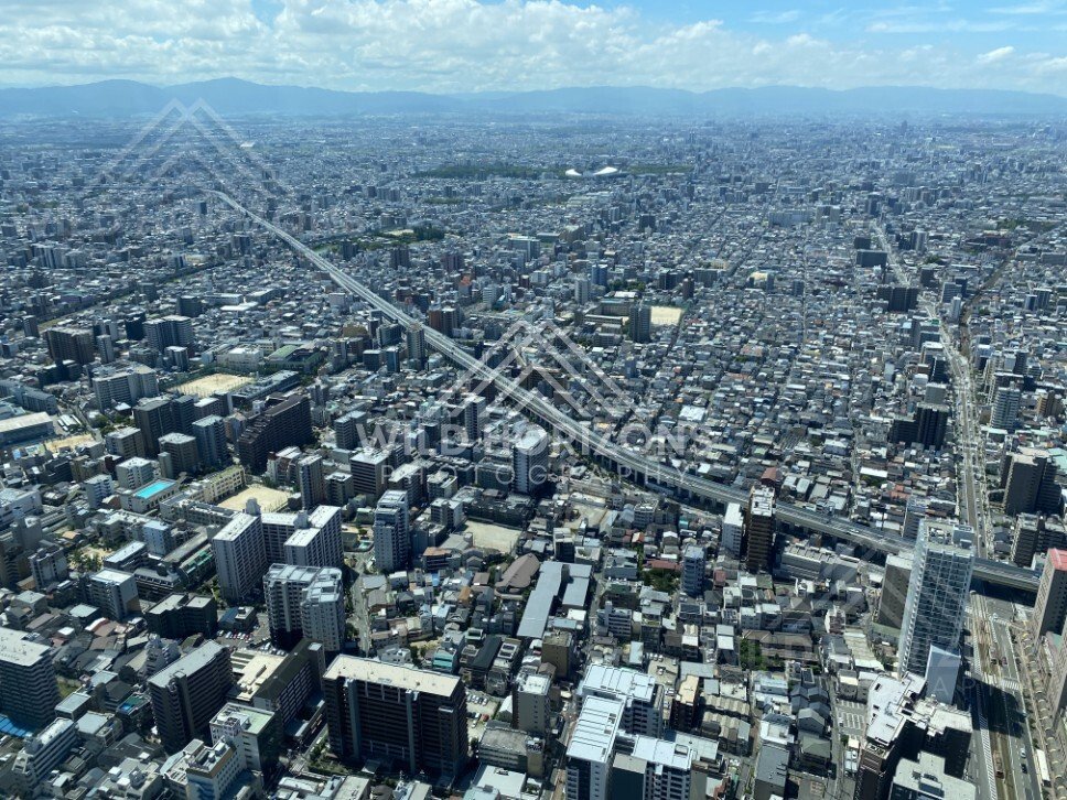 Elevated Expressway Curving Across Osaka from a High Observation Deck. Umeda Sky Building, Osaka, Japan.
