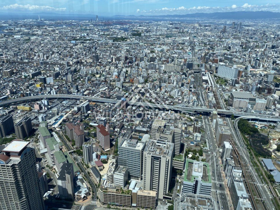 Aerial View Toward Osaka Bay with Port Infrastructure and Elevated Transport Lines. Umeda Sky Building, Osaka, Japan.