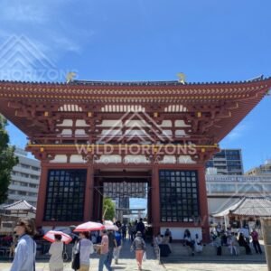 Grand Temple Gate Framed by City Buildings and a Busy Courtyard. Shitennoji Temple, Osaka, Japan.