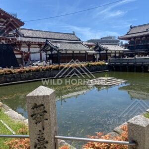 Temple Pond with Reflections of Traditional Rooflines and Bridge Over Green Water. Shitennoji Temple, Osaka, Japan.