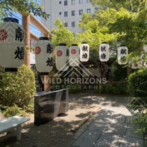 White paper lanterns hanging at a shaded shrine approach. Shitennoji Temple, Osaka, Japan.
