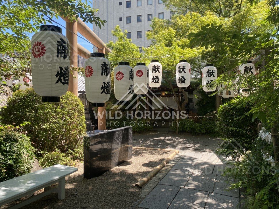 White paper lanterns hanging at a shaded shrine approach. Shitennoji Temple, Osaka, Japan.