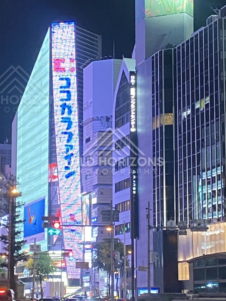 Neon-lit buildings rising above a busy Osaka street at night. Dotonbori, Osaka, Japan.