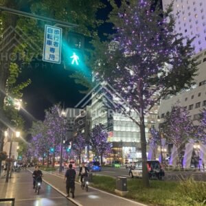 Tree-lined boulevard with decorative lights in central Osaka at night. Dotonbori, Osaka, Japan.