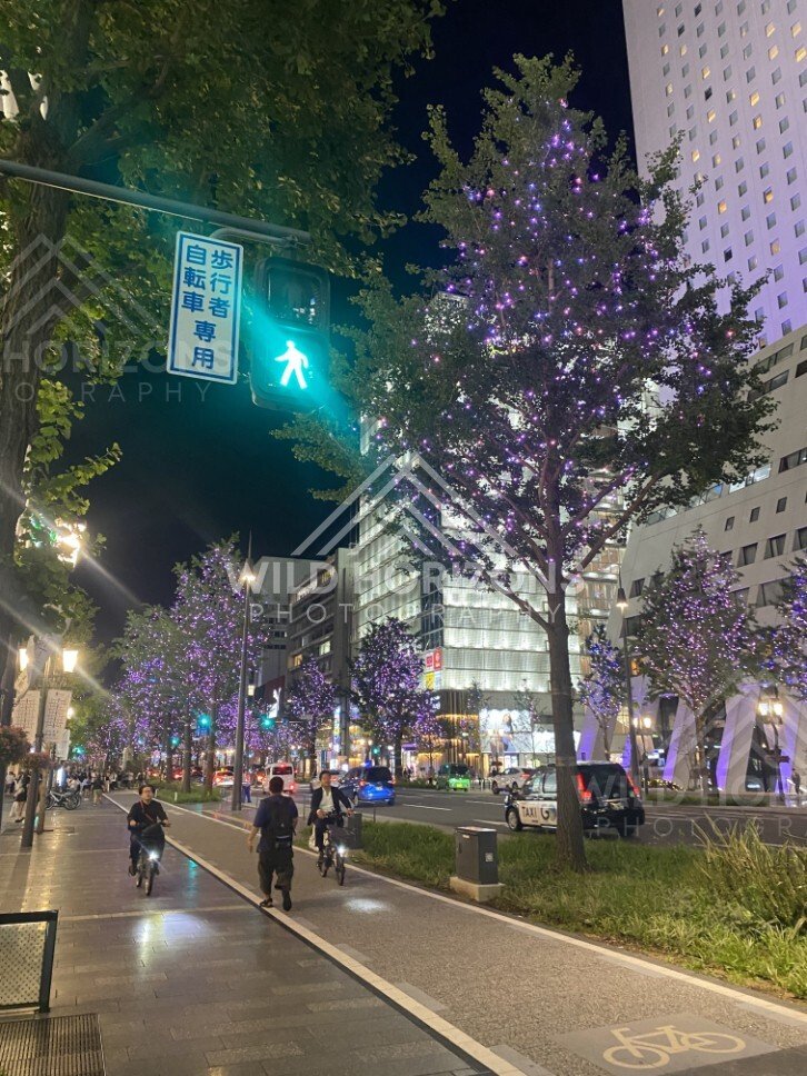 Tree-lined boulevard with decorative lights in central Osaka at night. Dotonbori, Osaka, Japan.