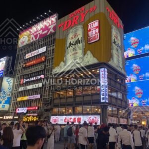 Towering billboards and packed streets in Osaka at night. Dotonbori, Osaka, Japan.