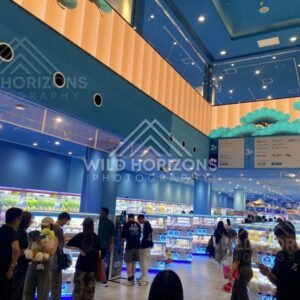 Bright arcade interior with rows of capsule machines and visitors. Dotonbori, Osaka, Japan.