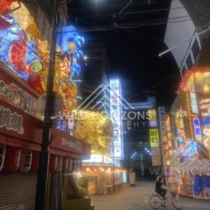 Illuminated street decorations and stalls in Osaka at night. Dotonbori, Osaka, Japan.