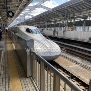 Shinkansen bullet train arriving at a platform under bright daylight. Shin-Osaka Station, Osaka, Japan.