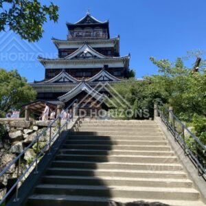 Stone steps leading up to Hiroshima Castle framed by trees. Hiroshima Castle, Hiroshima, Japan.