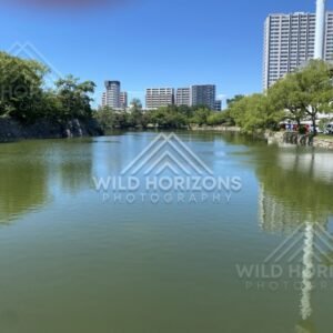 Moat waters reflecting city buildings beside a tree-lined embankment. Hiroshima, Japan.