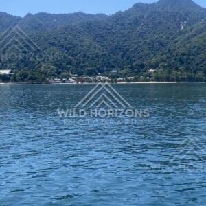 Calm coastal waters with forested hills along the shoreline. Miyajima, Hiroshima, Japan.