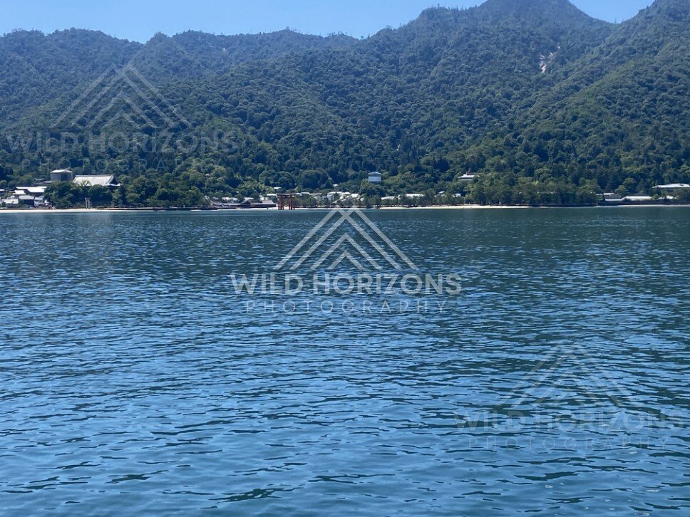 Calm coastal waters with forested hills along the shoreline. Miyajima, Hiroshima, Japan.
