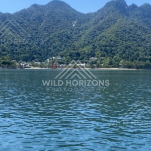 Distant torii gate visible across the water from the shoreline. Miyajima, Hiroshima, Japan.