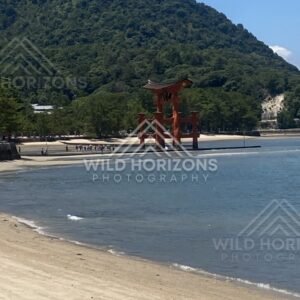 Large red torii gate standing offshore with beach in the foreground. Miyajima, Hiroshima, Japan.