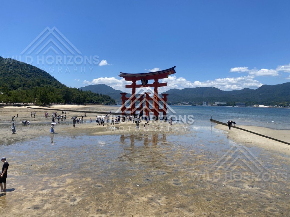 Wide view of the offshore torii gate with reflections on tidal flats. Miyajima, Hiroshima, Japan.
