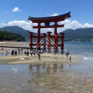 Close view of the iconic red torii gate standing offshore. Miyajima, Hiroshima, Japan.