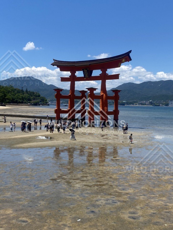 Close view of the iconic red torii gate standing offshore. Miyajima, Hiroshima, Japan.