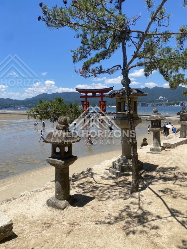 Stone lanterns framing the offshore torii gate at low tide. Miyajima, Hiroshima, Japan.
