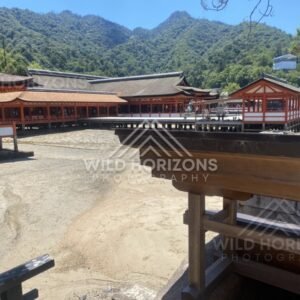 Shrine buildings and covered corridors at low tide on Miyajima. Miyajima, Hiroshima, Japan.