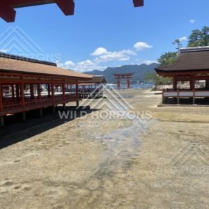 View along shrine corridors toward the offshore torii gate at low tide. Miyajima, Hiroshima, Japan.