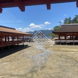 Symmetrical view between shrine corridors with the torii gate beyond. Miyajima, Hiroshima, Japan.