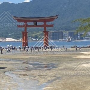 Crowds gathered around the offshore torii gate during low tide. Miyajima, Hiroshima, Japan.