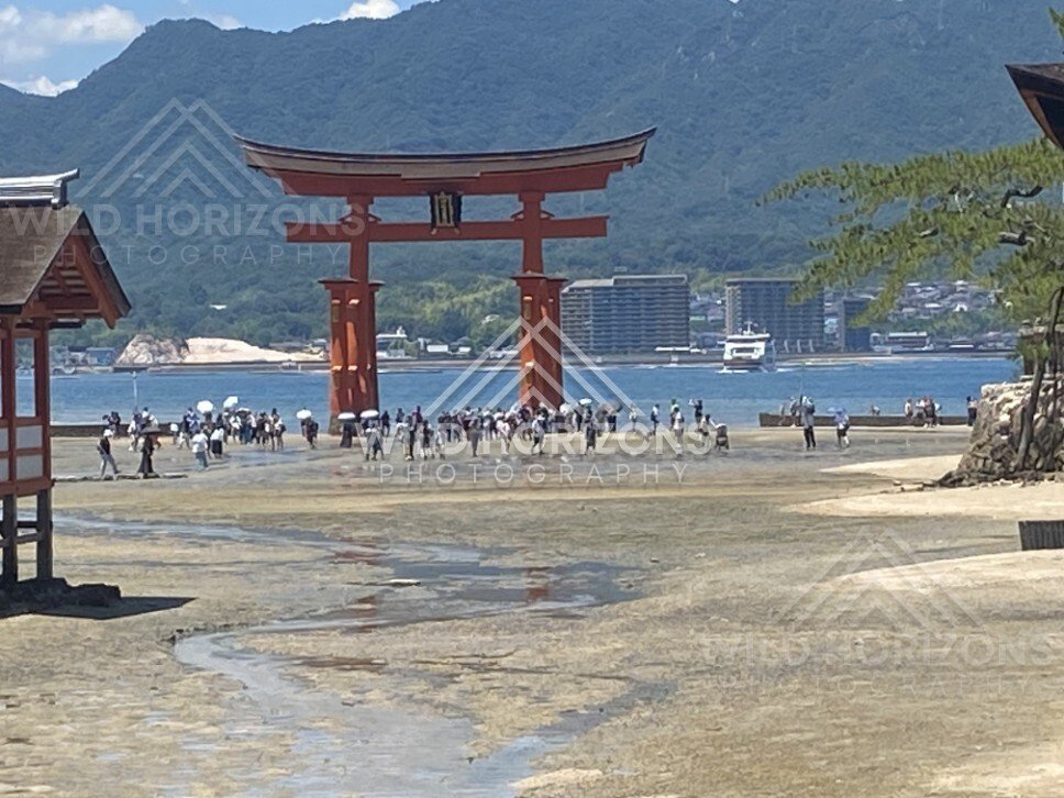 Crowds gathered around the offshore torii gate during low tide. Miyajima, Hiroshima, Japan.